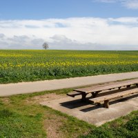 Rasten am Napoleonsturm in Sprendlingen