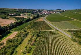 Engelstadter Adelpfad