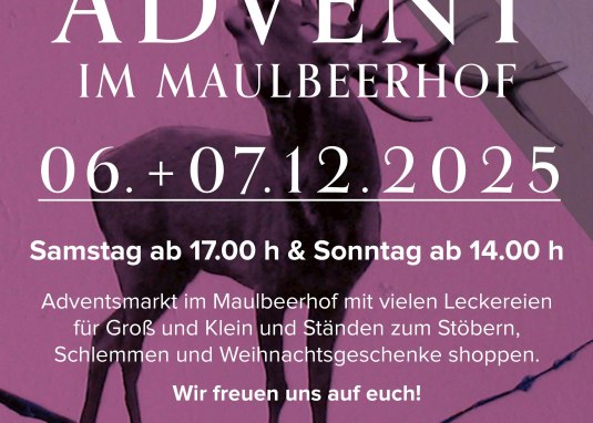 Advent im Maulbeerhof