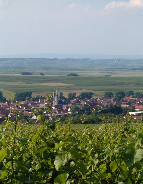 Vine kerk, &copy; Weingut Thomas-R&uuml;b