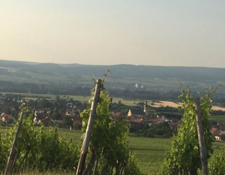 &copy; FamilienWeinGut Feser