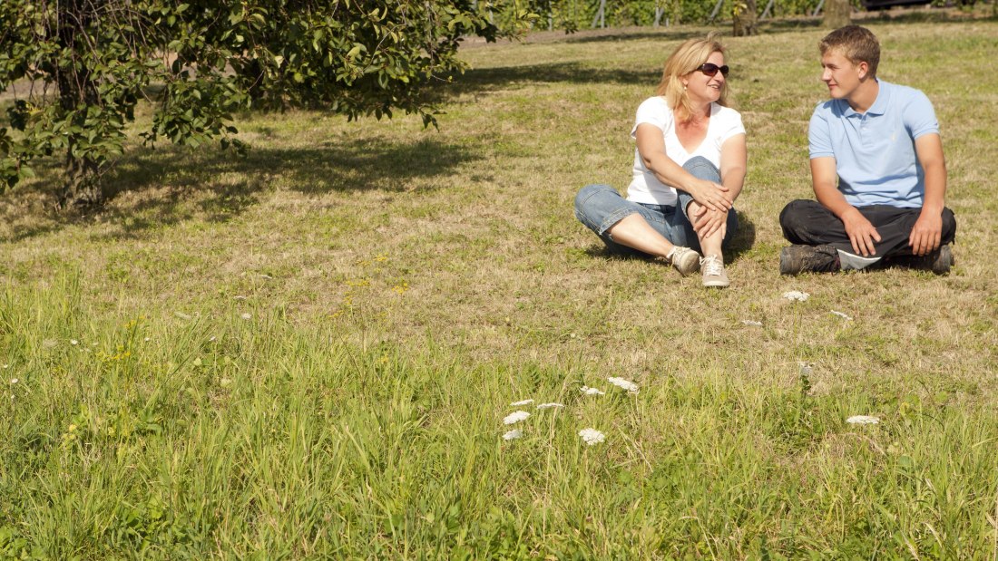 Weingut Bischofsmühle_Wiese, © Weingut Bischofsmühle
