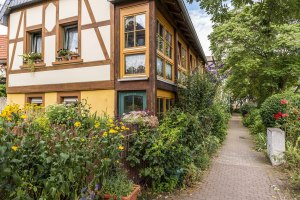 Promenade Guntersblum, &copy; Achim Meurer