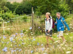 The Hiwweltour Westerberg in Spring © Dominik Ketz