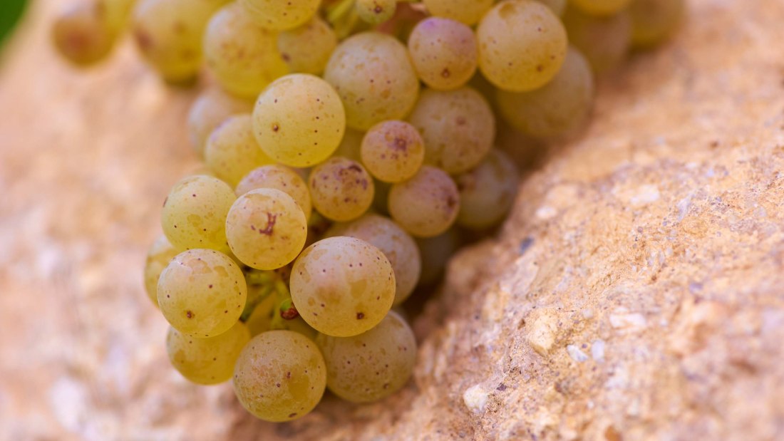 &copy; Weingut Achenbach