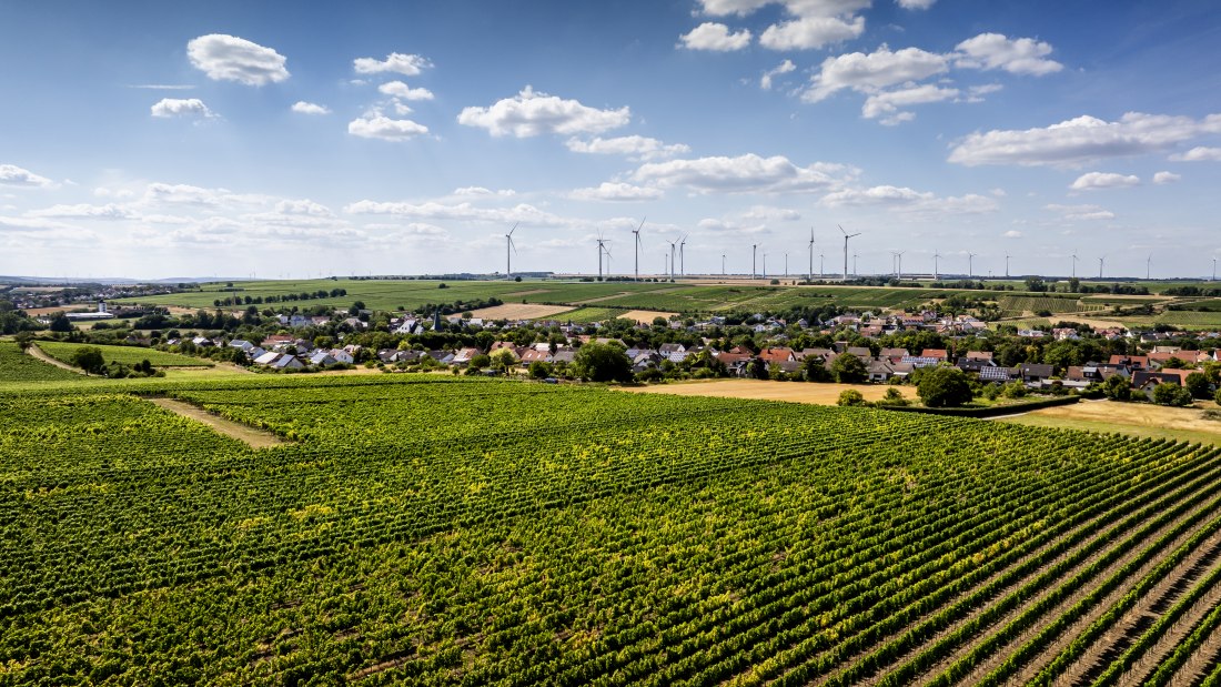 Bechtolsheimer Klosterberg-051 Kopie