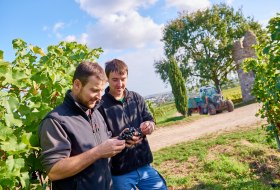 20151009_d800_7876_preview &copy; Weingut Geil