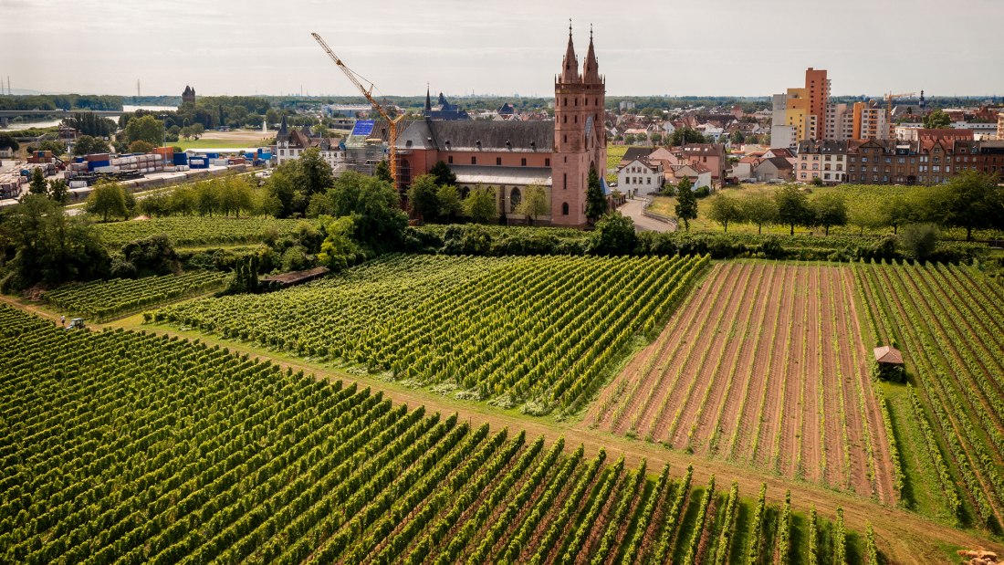 Wormser Liebfrauenstift Kirchenstück
