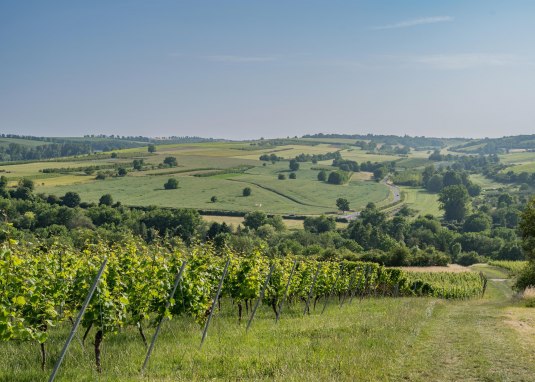 Rheingaublick mal anders © Verbandsgemeinde Gau-Algesheim