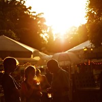 Abendsonne auf dem Mainzer Weinmarkt &copy; Robert Dieth