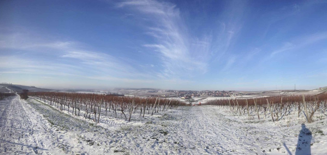 katharinenhof2, &copy; Weingut Kathrinenhof