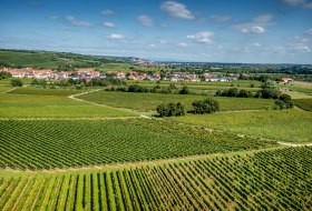 Ludwigshöher Teufelskopf