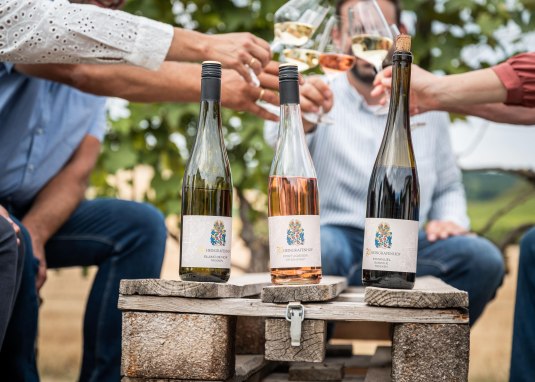 Weingut Rheingrafenhof