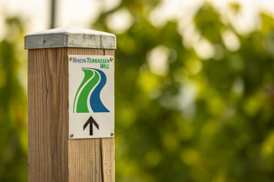 Beschilderung am Rheinterrassenweg, &copy; Dominik Ketz