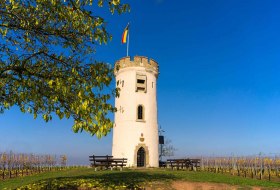 Niersteiner Wartturm &copy; Karl-Georg M&uuml;ller
