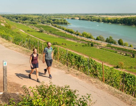 Wanderpaar mit Blick auf den Rhein, &copy; Dominik Ketz