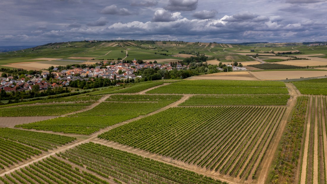 Gau-Weinheimer Geyersberg