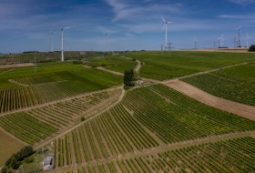 Gau-Heppenheimer Schlossberg