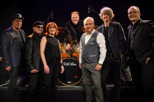 Still Collins, &copy; Kultur auf dem Hof