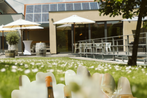 Weingl&auml;ser, &copy; Dieth & Schr&ouml;der