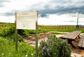 Horrweiler - Tisch des Weines &copy; Rheinhessen-Touristik GmbH, Katja Zentel