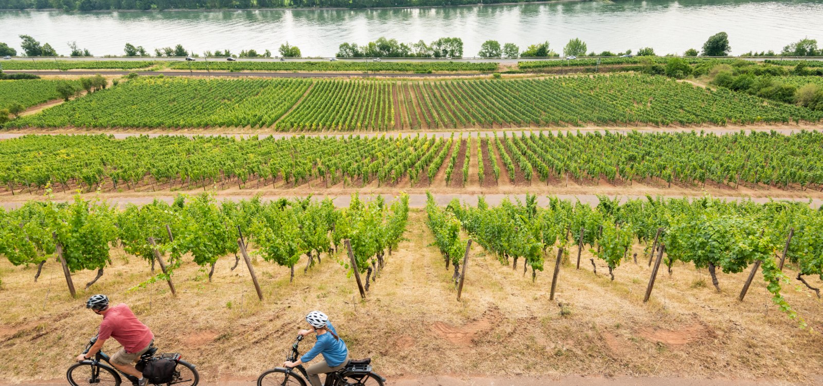 Rheinradweg Roter Hang, &copy; Dominik Ketz