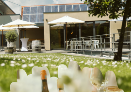 Weingl&auml;ser, &copy; Dieth & Schr&ouml;der