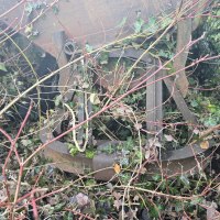 Loren 3 &copy; Heimatverein Gundersheim e.V.