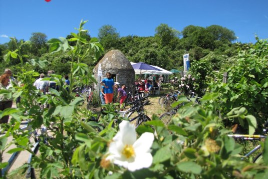 Kleiner runder Weinbergsturm aus Stein, ein Trullo, steht zwischen Weinreben in Rheinhessen. Rundherum stehen Fahrr&auml;der, w&auml;hrend mehrere Menschen an einem Stand mit Sonnenschirm pausieren. Im Vordergrund sind Pflanzen und eine wei&szlig;e Bl&uuml;te zu sehen.