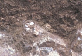 Vulkanstein Braunerde, &copy; Landesamt f&uuml;r Geologie und Bergbau Rheinland-Pfalz