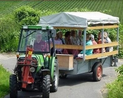 Weinbergsrundfahrt &copy; Weingut am Honigberg