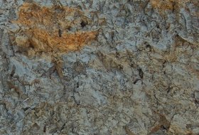 Tonmergel Pelosol © Landesamt für Geologie und Bergbau Rheinland-Pfalz