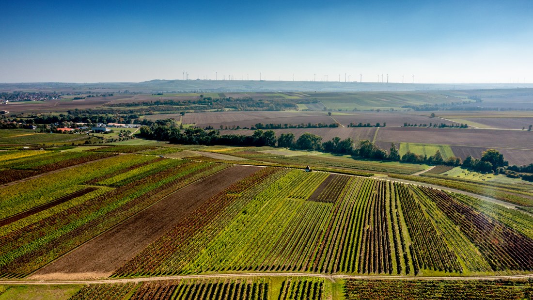 Biebelnheimer Rosengarten
