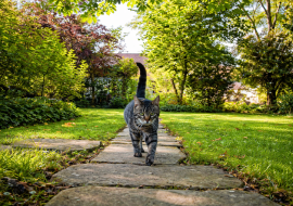 Historischer Garten von 1813