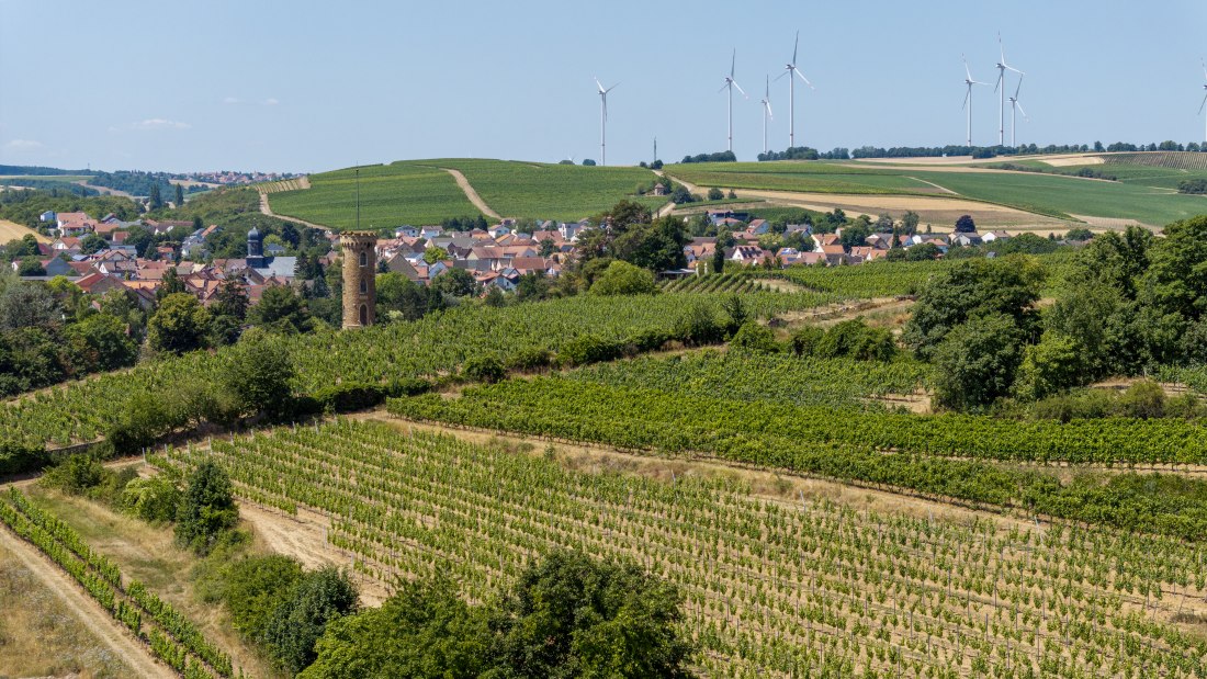 Weinheimer Heiliger Blutberg, &copy; Torsten Silz