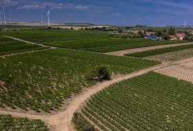 Bermersheimer Seilgarten