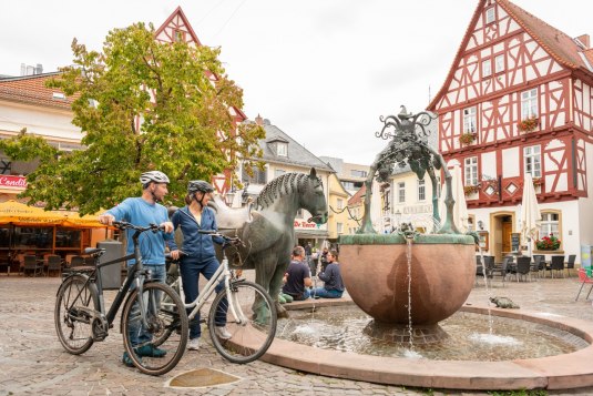 Rossmarkt Alzey, &copy; Dominik Ketz
