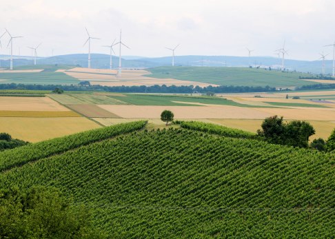 mystischer-greifenberg
