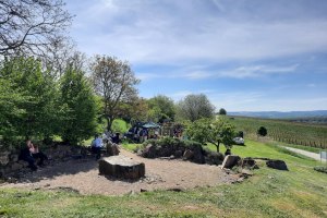Kr&auml;utergarten an der Via Vinea
