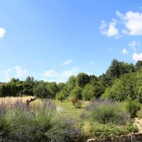 Blick &uuml;ber die Hochbeete in den Garten