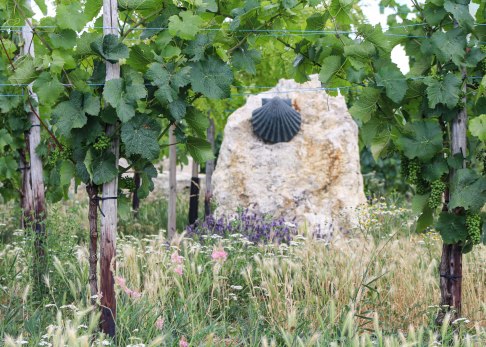 pergola-3