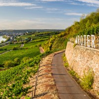 rheinhessen-2020-358 &copy; Dominik Ketz