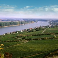Nierstein weinwelt 01 &copy; Klaus Baranenko/Rheinhessen-Touristik GmbH