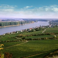 Nierstein weinwelt 01 &copy; Klaus Baranenko/Rheinhessen-Touristik GmbH
