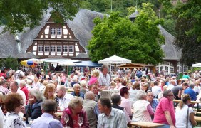 Wein im Park 2 © GuT