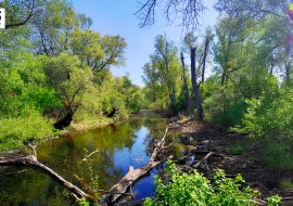 Rheinauen, © Melanie_Ströder