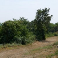 Monzernheimer Hohl 3 &copy; Michael Jung