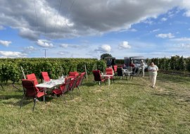 Tischlein deck dich im Weinberg, &copy; Weingut J&uuml;rgen Bernhard
