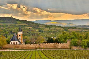 Weinmeile - Sonniger Erlebnispfad rund um den Wein und Weinanbau, &copy; Rainer Oppenheimer