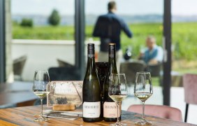 Vinothek im Weingut Braunewell &copy; Carsten Costard